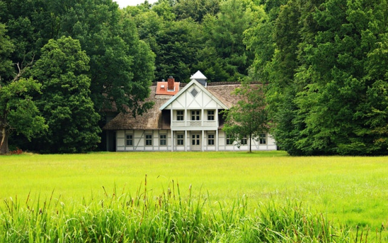 Особенности земельных участков у леса Особенности земельных участков у леса